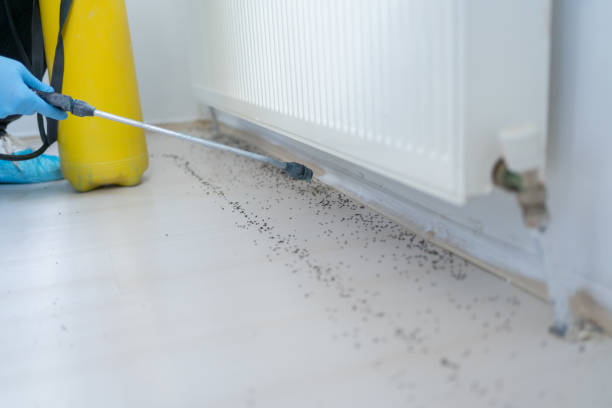 Best Bed Bug Extermination  in Earlysville, VA