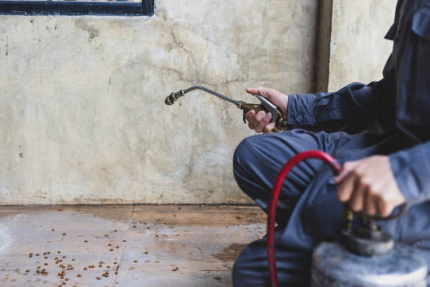 Best Pest Control Near Me  in Earlysville, VA
